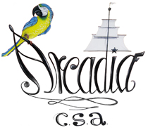 CSA Arcadia